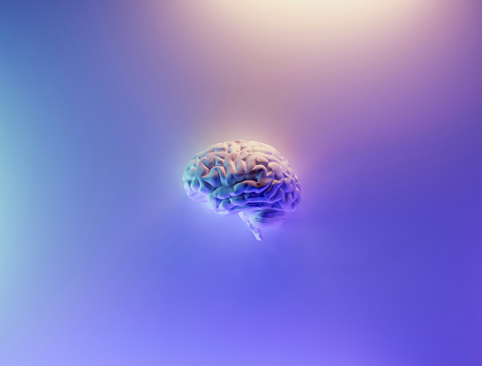 Building MSJ Intelligence: Foundation Engagement Proposal